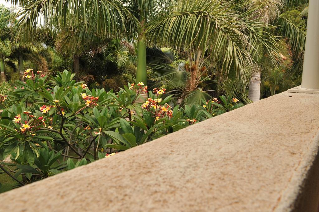 Aloha Aku Inn & Suites Kihei Cameră foto